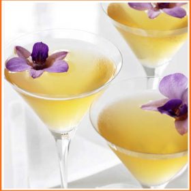 Summer Butterfly Invitations – Grey Goose Butterfly Martini Summer Butterfly Invitations - Grey Goose Butterfly Martini