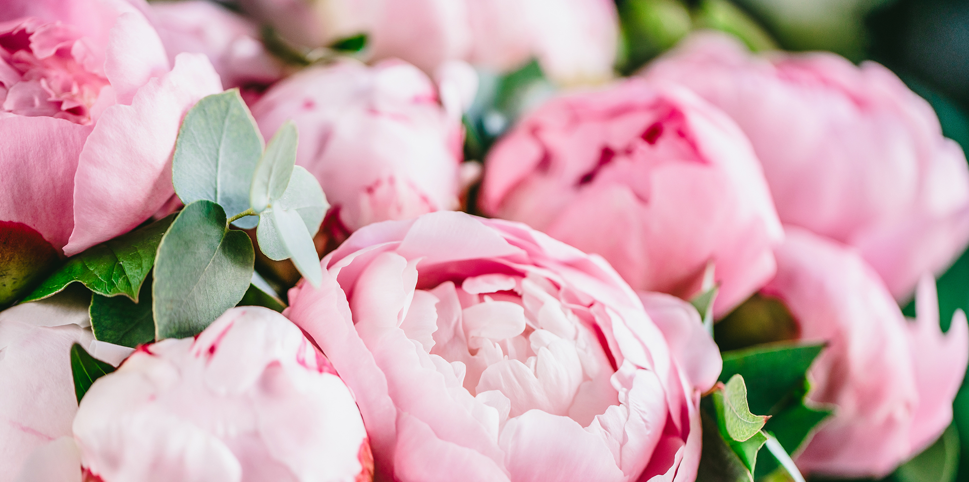 Benefits of Fresh Flowers
